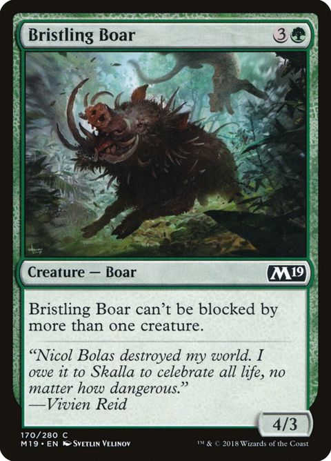 170-bristlingboar.jpg