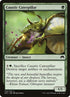 170-causticcaterpillar.jpg