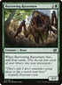 173-burrowingrazormaw.jpg
