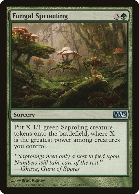 173-fungalsprouting.jpg