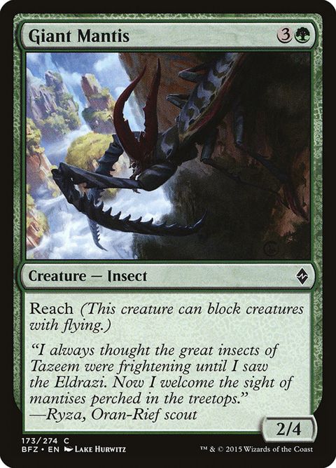 173-giantmantis.jpg