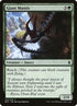 173-giantmantis.jpg