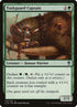 173-tuskguardcaptain.jpg