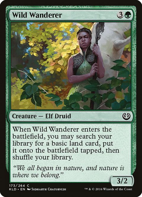 173-wildwanderer.jpg