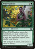 173-wildwanderer.jpg