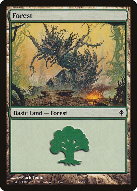 174-forest.jpg