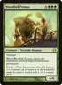 174-woodfallprimus.jpg