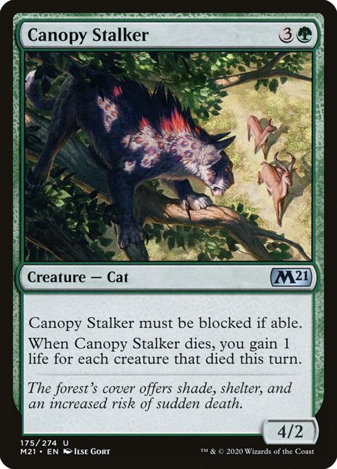 175-canopystalker.jpg