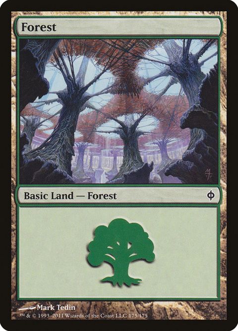 175-forest.jpg