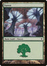 175-forest.jpg