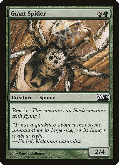 175-giantspider.jpg
