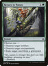 175-returntonature.jpg