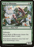 175-wallofblossoms.jpg