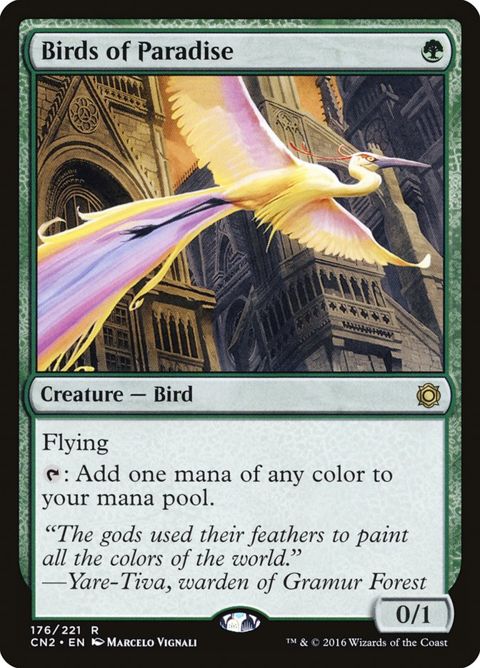 176-birdsofparadise.jpg