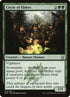 176-circleofelders.jpg