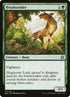 177-brushstrider.jpg