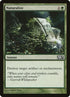 178-naturalize.jpg