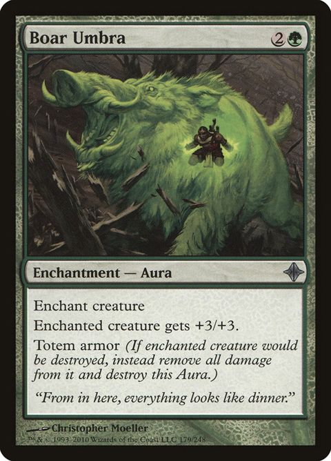 179-boarumbra.jpg