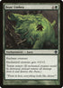 179-boarumbra.jpg