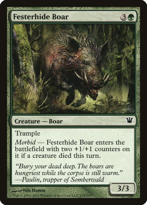 179-festerhideboar.jpg