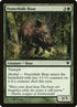179-festerhideboar.jpg
