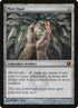 179-moxopal.jpg