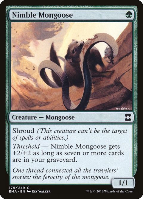 179-nimblemongoose.jpg