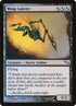 179-wasplancer.jpg