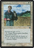 18-sorayathefalconer.jpg