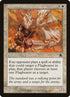 18-standardbearer.jpg