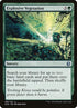 180-explosivevegetation.jpg