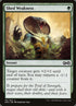 181-shedweakness.jpg