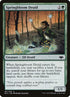 181-springbloomdruid.jpg