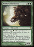 182-wolfbriarelemental.jpg