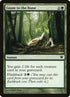 183-gnawtothebone.jpg