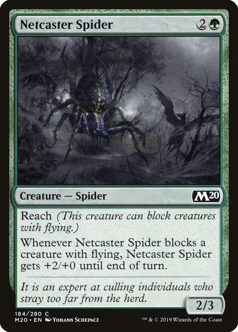 184-netcasterspider.jpg