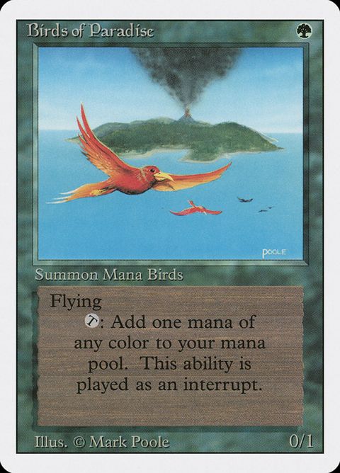 187-birdsofparadise.jpg