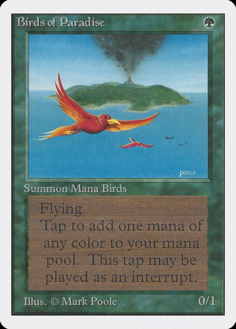 187-birdsofparadise.jpg
