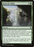 189-seekthewilds.jpg
