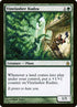 189-vinelasherkudzu.jpg