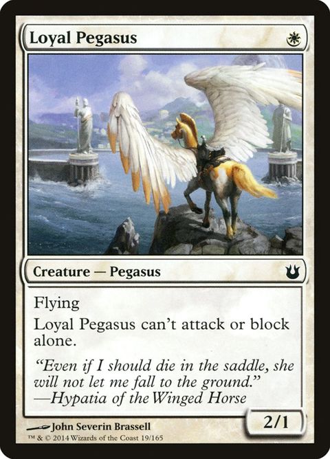 19-loyalpegasus.jpg