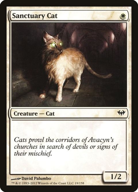 19-sanctuarycat.jpg