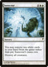 19-sunscour.jpg