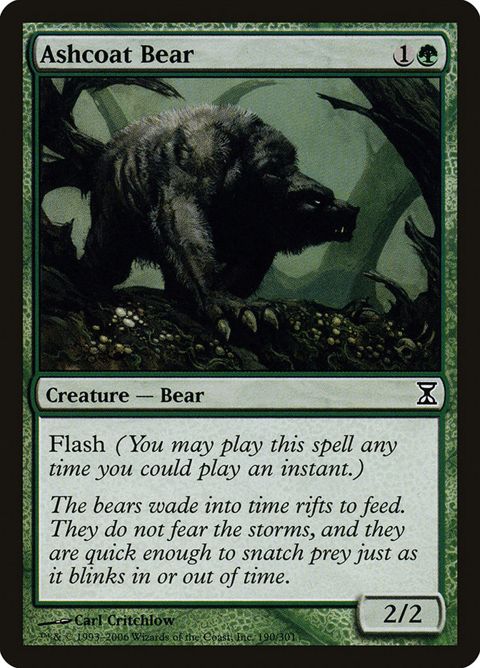 190-ashcoatbear.jpg
