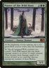 191-masterofthewildhunt.jpg