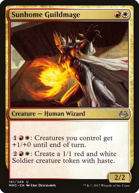 191-sunhomeguildmage.jpg