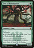 191-treeofredemption.jpg