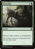 193-naturalize.jpg
