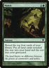 196-mulch.jpg