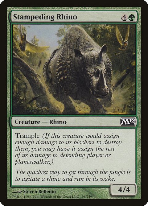 196-stampedingrhino.jpg